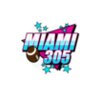 miami 305