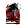 Palm and Football